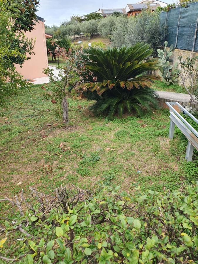 Apartament Casa Dell'Ape Maia Termoli Zewnętrze zdjęcie
